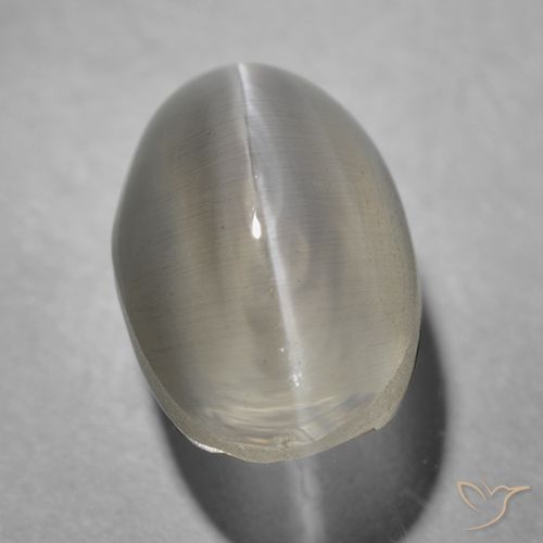 1.43ct 天然 非常に薄い灰色 シリマナイトキャッツアイ, 楕円形, 透明