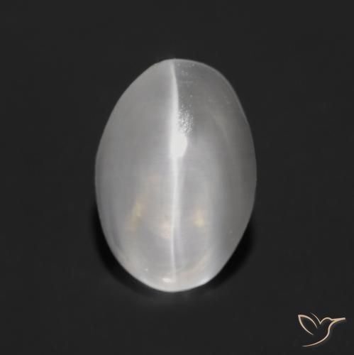 1.25ct 天然 非常に薄い灰色 シリマナイトキャッツアイ, 楕円形, 透明