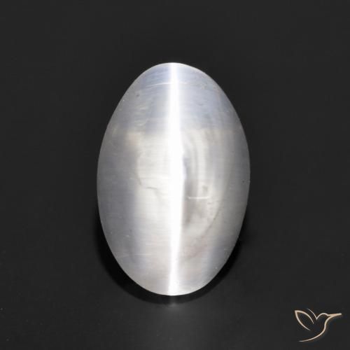 1.24ct 天然 非常に薄い灰色 シリマナイトキャッツアイ, 楕円形, 透明
