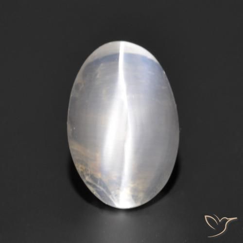 1.17ct 天然 非常に薄い灰色 シリマナイトキャッツアイ, 楕円形, 透明