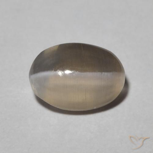 1.09ct 天然 Warm Grey シリマナイトキャッツアイ, 楕円形, 半透明