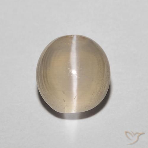 1.43ct 天然 ライトイエロー シリマナイトキャッツアイ, 楕円形, 半透明