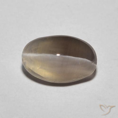 1.20ct 天然 エスプレッソブラウン シリマナイトキャッツアイ, 楕円形, 半透明