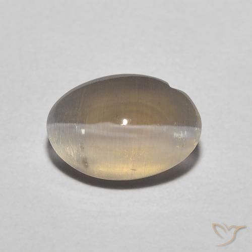 1.11ct 天然 ニュートラルブラウン シリマナイトキャッツアイ, 楕円形, 半透明