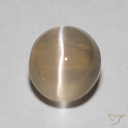 0.86ct 天然 ミディアムブラウン シリマナイトキャッツアイ, 楕円形, 透明