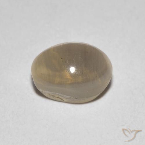 1.29カラットの天然非常に薄い茶色シリマナイトキャッツアイ、楕円形、透明