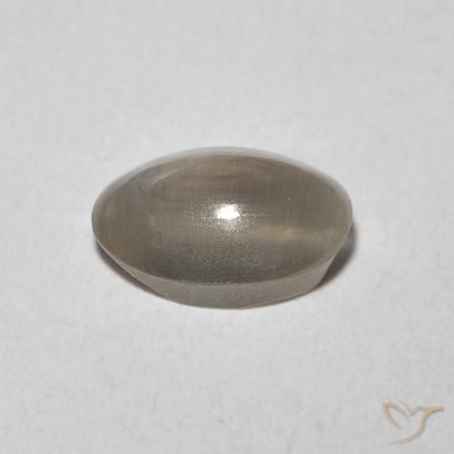 0.98カラットの天然非常に薄い灰色シリマナイトキャッツアイ、楕円形、透明