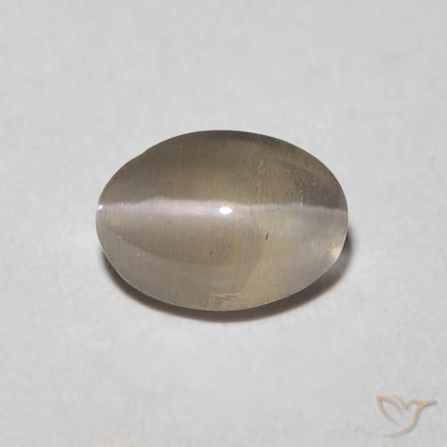 0.92ct 天然 薄いトルティーヤブラウン シリマナイトキャッツアイ, 楕円形, 透明
