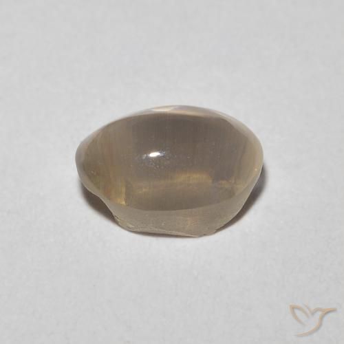 1.23カラットの天然非常に薄い茶色シリマナイトキャッツアイ、楕円形、透明