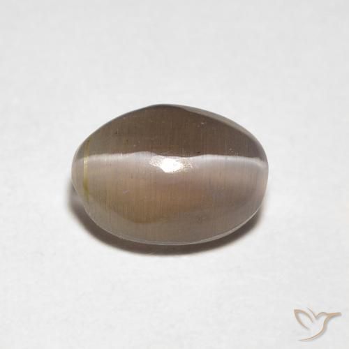 0.88ct 天然 ミディアムブラウン シリマナイトキャッツアイ, 楕円形, 透明