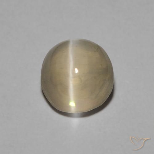 1.22ct 天然 薄いイエローブラウン シリマナイトキャッツアイ, 楕円形, 透明