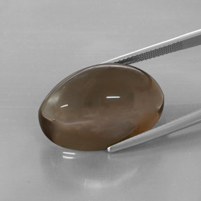 32.73カラットの天然スモーキーブラウンスモーキークォーツ（24.2×16 mm・透明）