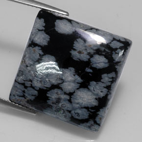20.19カラットの天然グレー・ホワイト・ブラックスノーフレークオブシディアン（19.8×19.8 mm・四角）