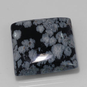 20.19カラットの天然グレー・ホワイト・ブラックスノーフレークオブシディアン（19.8×19.8 mm・四角）