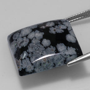 20.19カラットの天然グレー・ホワイト・ブラックスノーフレークオブシディアン（19.8×19.8 mm・四角）