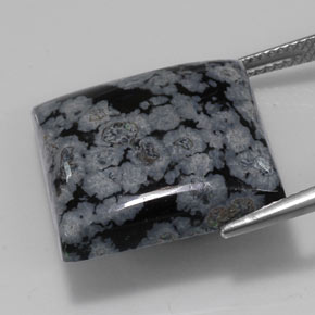 22.67カラットの天然グレー・ホワイト・ブラックスノーフレークオブシディアン（19.7×19.5 mm・四角）
