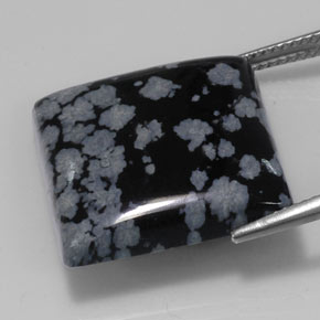 20.43カラットの天然ブラック＆ホワイトスノーフレークオブシディアン（20×19.8 mm・四角）