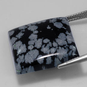 21.53カラットの天然グレー・ホワイト・ブラックスノーフレークオブシディアン（19.9×19.9 mm・四角）