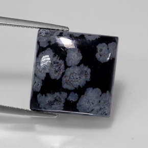 12.55カラットの天然グレー・ホワイト・ブラックスノーフレークオブシディアン（15.1×15.1 mm・四角）