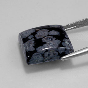 12.55カラットの天然グレー・ホワイト・ブラックスノーフレークオブシディアン（15.1×15.1 mm・四角）