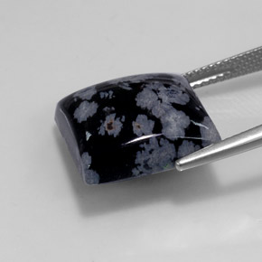 11.52カラットの天然ブラック＆ホワイトスノーフレークオブシディアン（14.9×14.9 mm・四角）