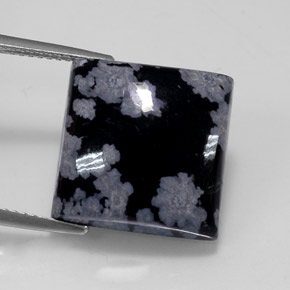 12.26カラットの天然スノーフレークスノーフレークオブシディアン（15.1×15.1 mm・四角）