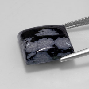 11.19カラットの天然グレー・ホワイト・ブラックスノーフレークオブシディアン（14.9×14.9 mm・四角）