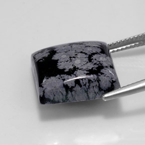 11.84カラットの天然グレー・ホワイト・ブラックスノーフレークオブシディアン（15×14.9 mm・四角）