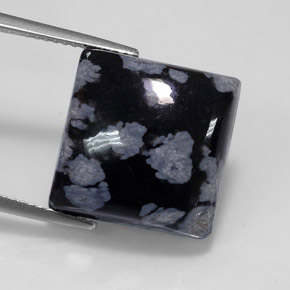 11.46カラットの天然ブラック＆ホワイトスノーフレークオブシディアン（14.9×14.9 mm・四角）