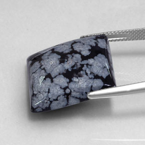 19.17カラットの天然グレー・ホワイト・ブラックスノーフレークオブシディアン（19.9×19.7 mm・四角）