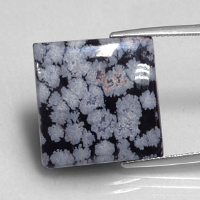 16.12カラットの天然グレー・ホワイト・ブラックスノーフレークオブシディアン（19.3×18.7 mm・四角）