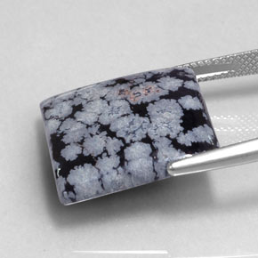 16.12カラットの天然グレー・ホワイト・ブラックスノーフレークオブシディアン（19.3×18.7 mm・四角）