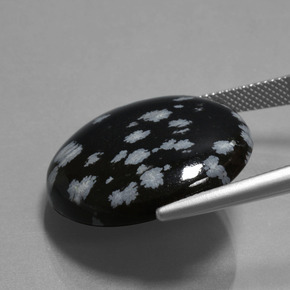 26.06カラットの天然ブラック＆ホワイトスノーフレークオブシディアン（24.87 mm・ラウンドカット）