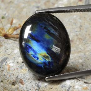 10.68カラットの天然マルチカラースペクトロライト、オーバルカット、オペーク