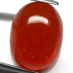 24.88カラットの天然マンダリンオレンジスペサルティンガーネット（18.4×14.1 mm・透明）