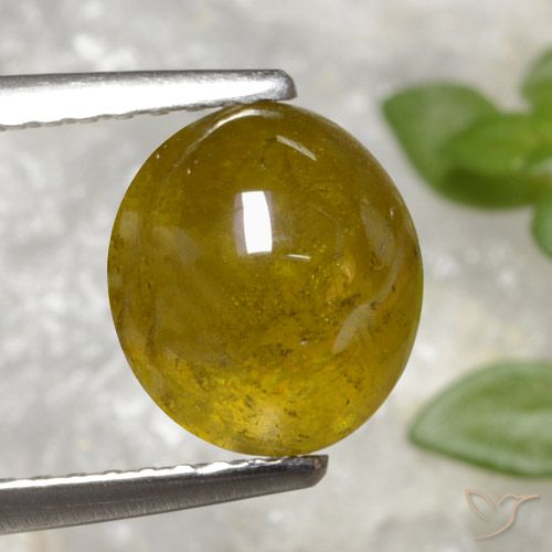 3.20ct 天然 ミディアムイエロー スフェーン, 楕円形, 半透明