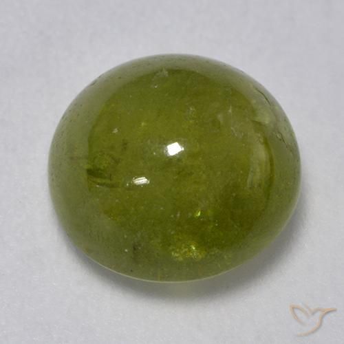 3.24ct 天然 フォレストグリーン スフェーン, ラウンド, 半透明