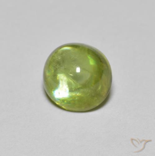 1.46カラットの天然Medium Light Greenスフェーン、楕円形、透明