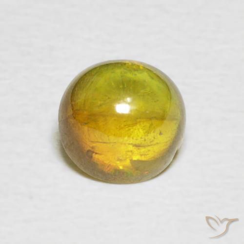 1.31ct 天然 ミディアムイエロー スフェーン, 楕円形, 透明