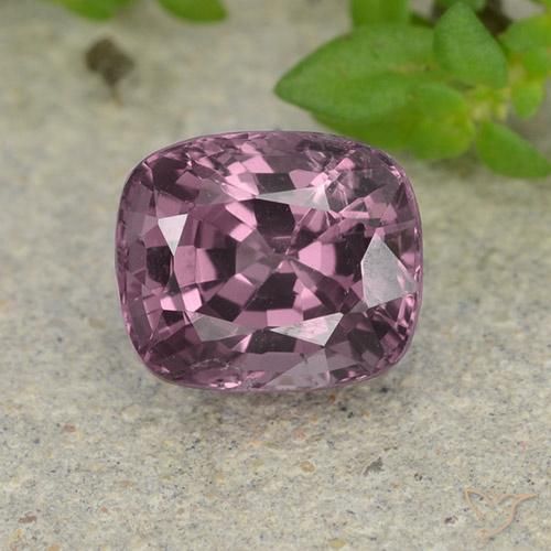 1.52ct 天然 ダークサングリア スピネル, クッション, VVS-VS