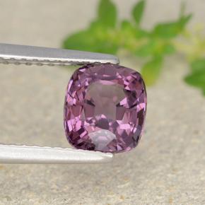 1.59カラットの天然ミディアムダークサングリアスピネル（6.9×6.3 mm・クッションカット）