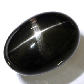 48.47カラットの天然黒スターダイオプサイド（25.3×18.3 mm・オーバルカット）