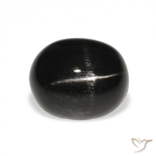 6.19ct 天然 ブラック スターディオプサイド, 楕円形, オペーク