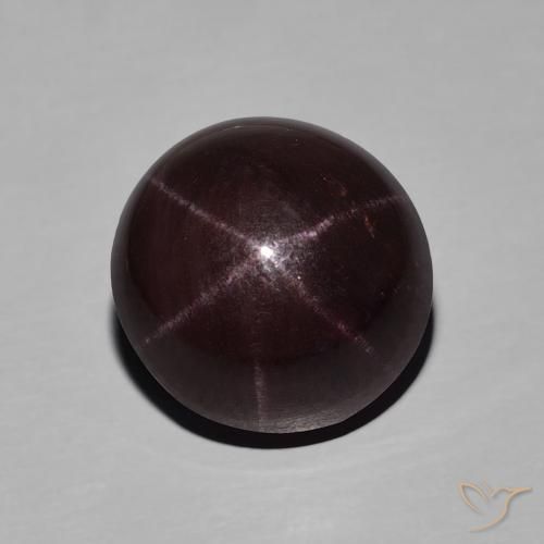 10.78ct 天然 ダークレッド スターガーネット, 楕円形, オペーク