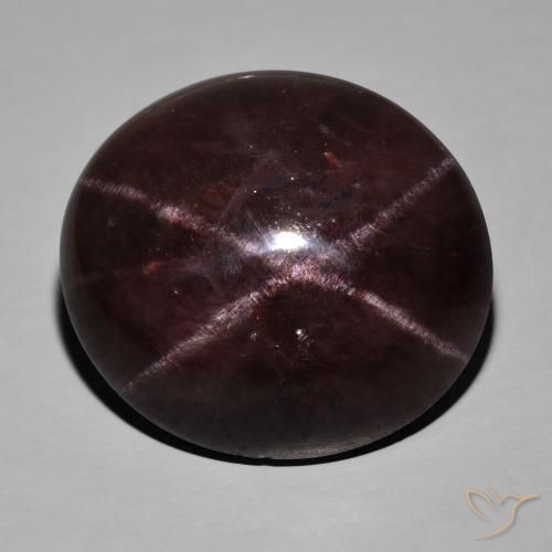 72.40ct 天然 ダークレッド スターガーネット, 楕円形, オペーク