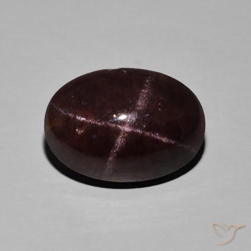 11.27ct 天然 マホガニーレッド スターガーネット, 楕円形, オペーク