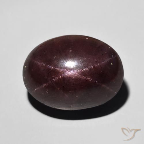 11.80ct 天然 マホガニーレッド スターガーネット, 楕円形, オペーク