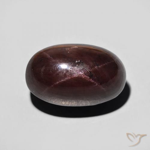 11.47ct 天然 ダークレッド スターガーネット, 楕円形, オペーク