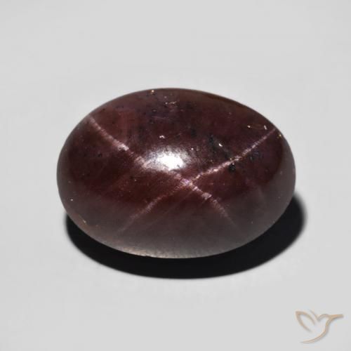 11.12ct 天然 ダークレッド スターガーネット, 楕円形, オペーク