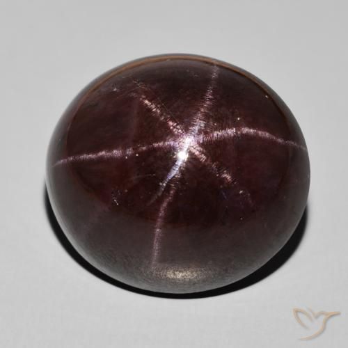 51.55ct 天然 マホガニーレッド スターガーネット, 楕円形, オペーク